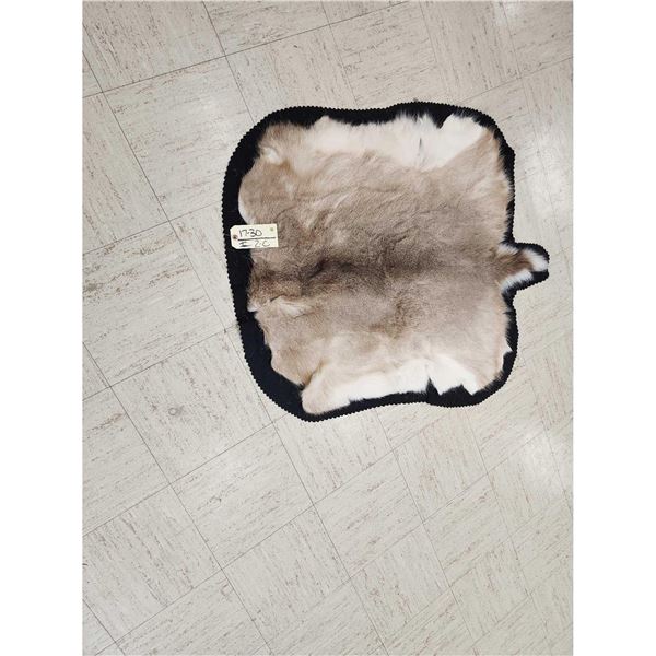 Whitetail Deer Skin Rug Taxidermy
