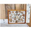 Image 1 : Frame Of Native American Pottery Shards