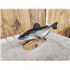Image 4 : Hand Carved Wooden Catfish