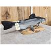 Image 9 : Hand Carved Wooden Catfish