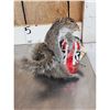 Image 2 : Drunken Squirrel Taxidermy Mount