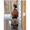 Image 2 : Ringneck Pheasant Full Body Bird Taxidermy