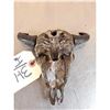 Image 6 : Bronze Bison Skull Sculpture