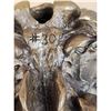 Image 7 : Bronze Bison Skull Sculpture