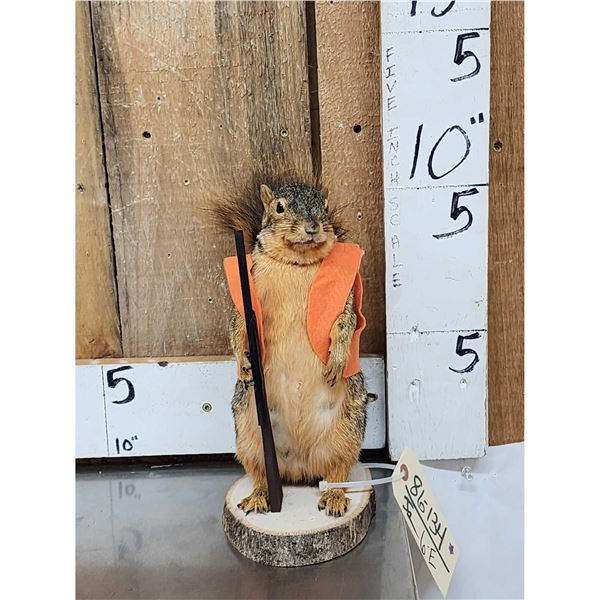 Hunting Squirrel Taxidermy Mount