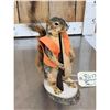 Image 3 : Hunting Squirrel Taxidermy Mount
