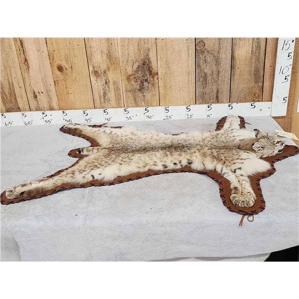 Bobcat Rug Taxidermy
