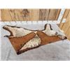 Image 7 : Bobcat Rug Taxidermy