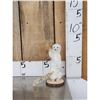 Image 1 : White Weasel Full Body Taxidermy Mount
