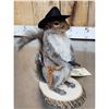 Image 3 : Sheriff Squirrel Taxidermy Mount