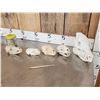 Image 6 : Small Animal Skulls & Bone Lot Taxidermy