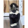 Image 1 : Skunk Full Body Taxidermy Mount