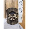 Image 1 : Raccoon In A Log Taxidermy