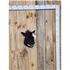 Image 1 : Wild Boar Hog Shoulder Mount Taxidermy