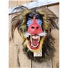 Image 4 : Reproduction African Mandrill Baboon Shoulder Mount Taxidermy