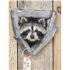 Image 2 : Raccoon In A Den Taxidermy