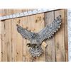 Image 3 : Hand Carved Grey Owl In Flight Wood Carving