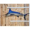 Image 1 : 8' 7" Marlin Reproduction Fish Taxidermy