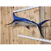 Image 2 : 8' 7" Marlin Reproduction Fish Taxidermy