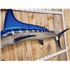 Image 5 : 8' 7" Marlin Reproduction Fish Taxidermy