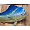 Image 3 : 57" Mahi Mahi Reproduction Fish Taxidermy