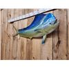 Image 4 : 57" Mahi Mahi Reproduction Fish Taxidermy