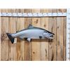 Image 1 : 46" King Salmon Reproduction Fish Taxidermy