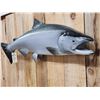 Image 2 : 46" King Salmon Reproduction Fish Taxidermy