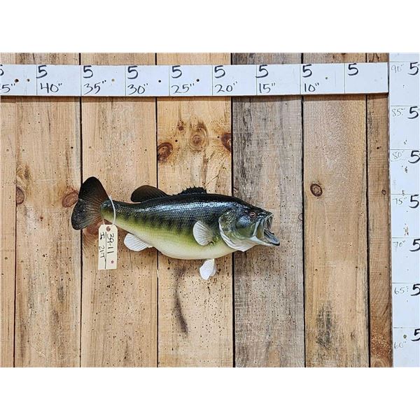 22" Largemouth Bass Real Skin Fish Taxidermy