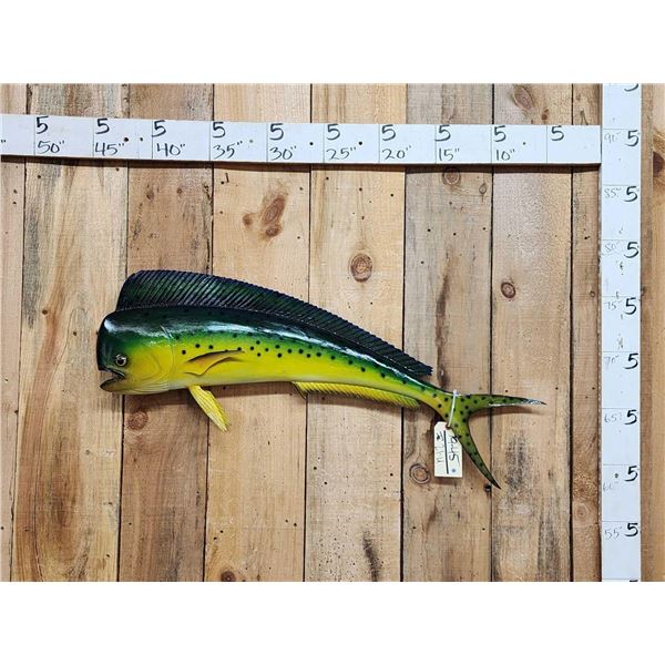 39" Mahi Mahi Reproduction Fish Taxidermy
