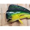 Image 4 : 39" Mahi Mahi Reproduction Fish Taxidermy