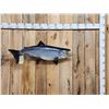 Image 1 : 39" King Salmon Real Skin Fish Taxidermy