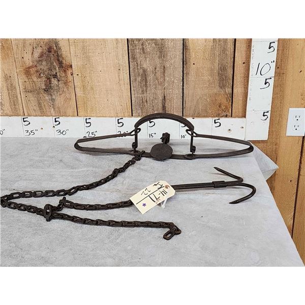 Triumph #415 High Grip Bear & Wolf Trap