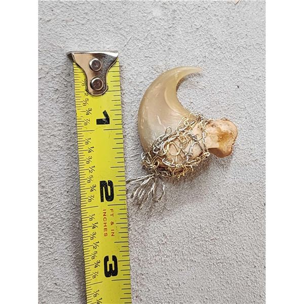 Mountain Lion Cougar Claw Wire Wrapped Necklace Pendant