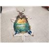 Image 1 : Whitetail Deer Painted Rug Taxidermy
