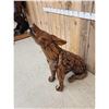 Image 2 : Howling Wolf Driftwood Sculpture