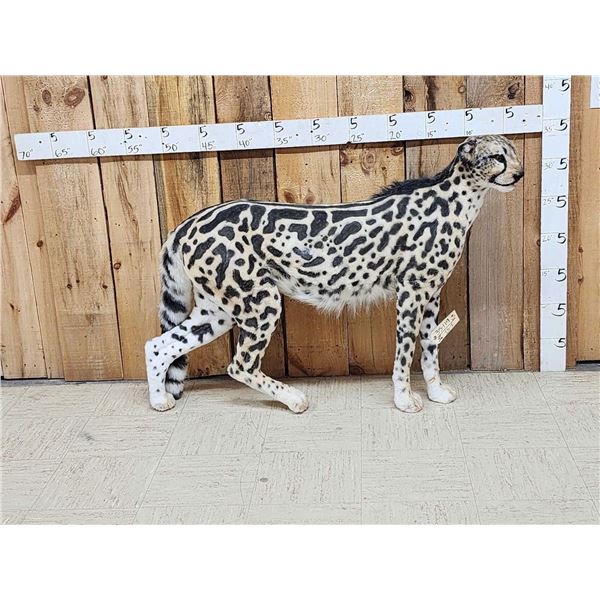100% Reproduction Cheetah Full Body Taxidermy Mount