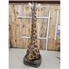 Image 8 : Gorgeous Giraffe Floor Pedestal Taxidermy Mount