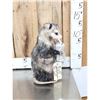 Image 2 : Naughty Opossum Taxidermy Mount
