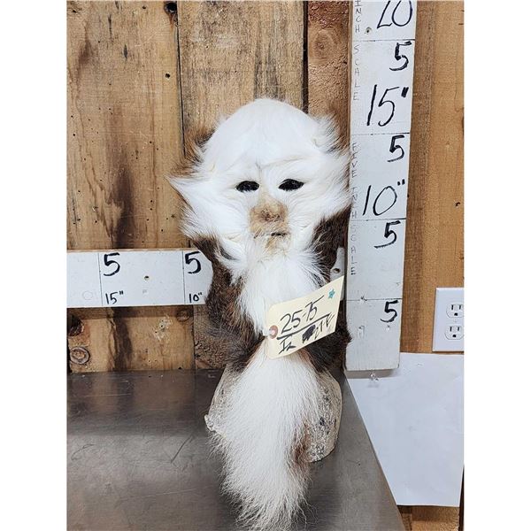 The Dreaded Swamp Monster Taxidermy