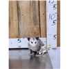 Image 1 : Baby Opossum Full Body Taxidermy Mount