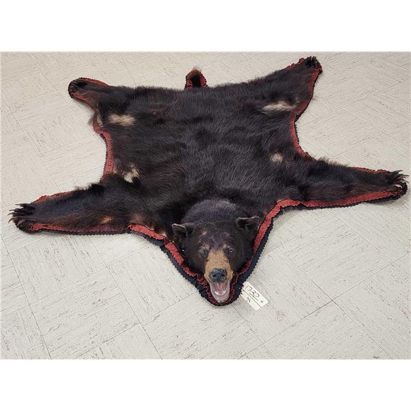 Black Bear Rug Taxidermy
