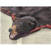 Image 3 : Black Bear Rug Taxidermy