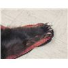 Image 5 : Black Bear Rug Taxidermy