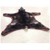 Image 6 : Black Bear Rug Taxidermy