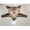 Image 1 : Alaskan Grizzly Bear Rug Taxidermy