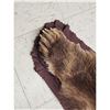 Image 7 : Alaskan Grizzly Bear Rug Taxidermy