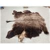 Image 2 : American Bison Buffalo Soft Tanned Robe Taxidermy