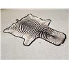 Image 3 : Vintage Zebra Skin Rug Taxidermy