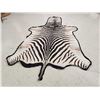 Image 4 : Vintage Zebra Skin Rug Taxidermy